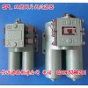 SPL-40C SPL-40 雙筒網(wǎng)片式過濾器