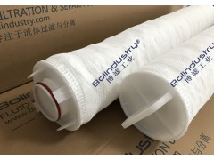 凝結(jié)水除鐵過濾器大通量保安過濾器濾芯